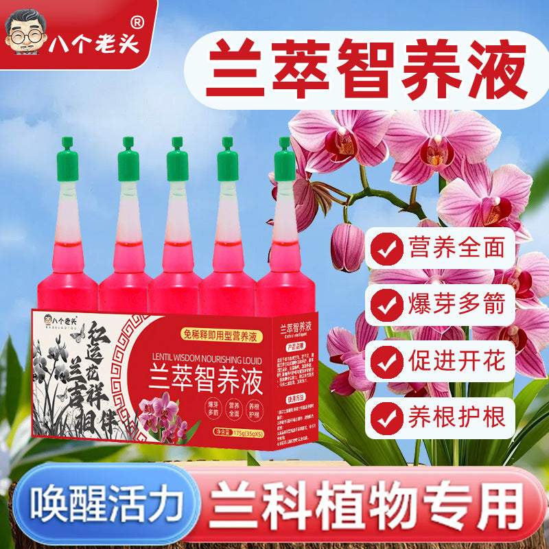 Nutrient Solution Boxed Wholesale Regulator Orchid Clivia Smart Nutrition Solution Nutrient Solution Home Gardening Orchid General Purpose