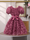 Girls' (toddler) dress, 3d rose embellished elegant party dress