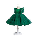 Amazon girls' princess dress kids' evening gown children's dress flower girl outfit tutu dress children's day dress
