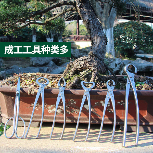 Manufacturer customized stainless steel ball joint scissors, bonsai pliers, horticultural pruning, branch pruning, ball joint scissors custom