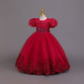 Ready-to-ship children's embroidered sequin puff sleeve princess dress - girls' runway model dress - kids dress