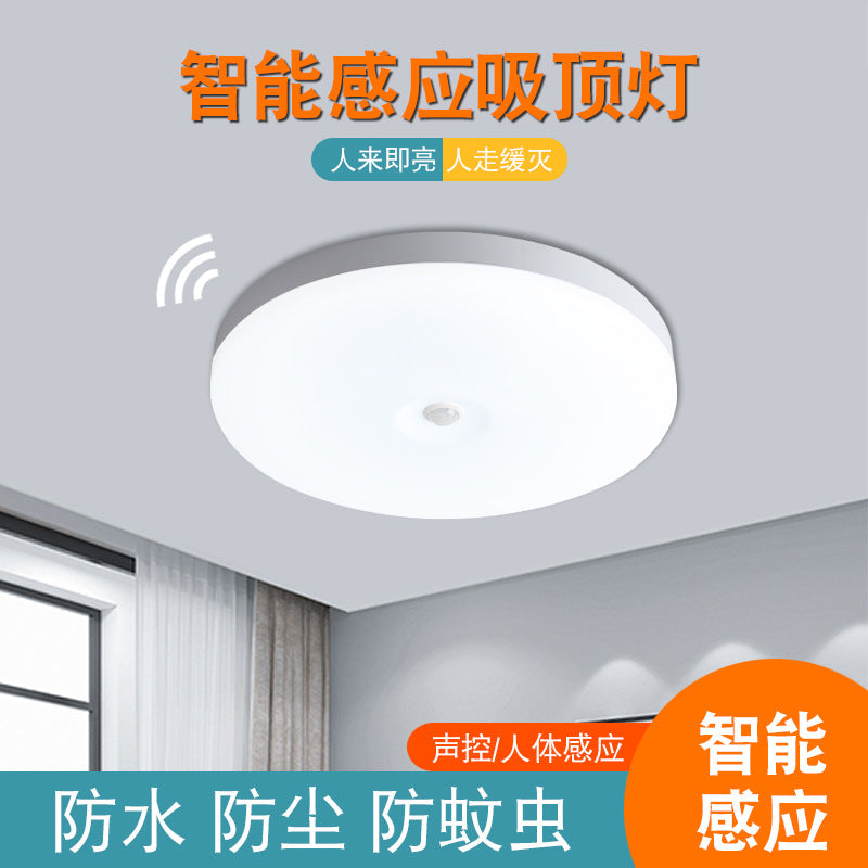 Factory wholesale LED three-proof ceiling light sound and light control radar human body induction light corridor aisle staircase lighting