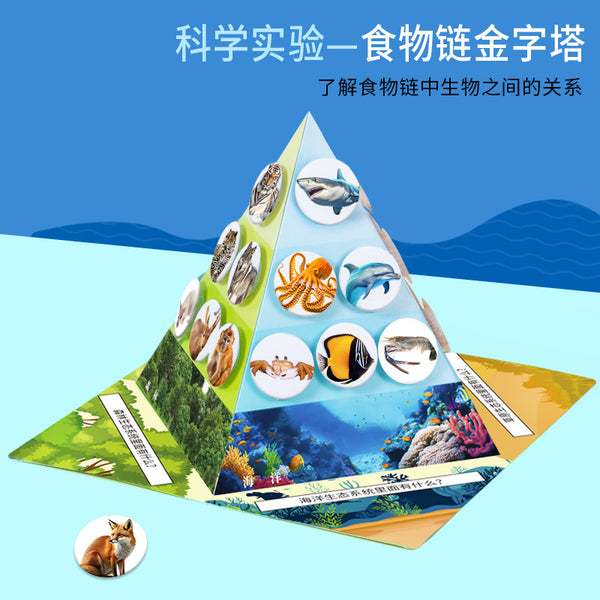 Science experiment food chain pyramid DIY technology small production, children's handmade student biomaterial package set