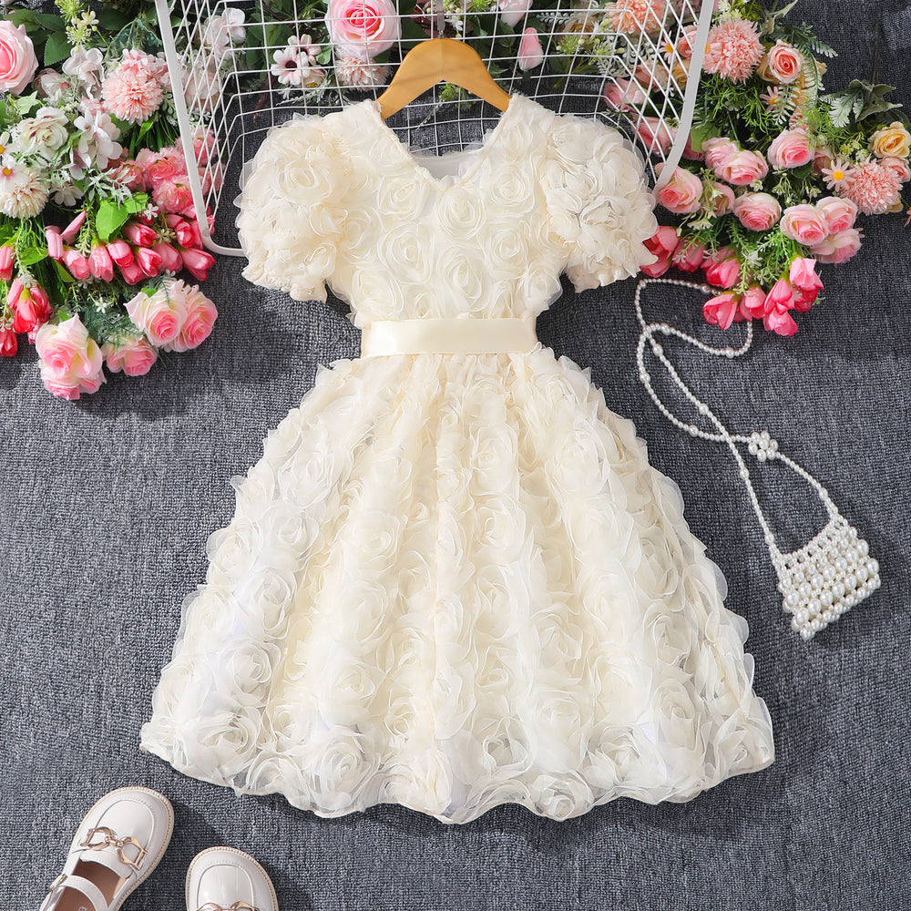 Girls' (toddler) dress, 3d rose embellished elegant party dress