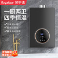Wholesale royalstar natural gas gas water heater for home13l liquefied gas coal gas forced exhaust gas model 16 liters
