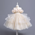 Summer new children's elegant baby dress princess
