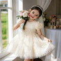 kids princess skirt tutu skirt one-year-old baby girl dress wedding dress dress foreign trade flower girl