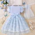 Girls' frozen elsa snowflake short-sleeve mesh princess dress - new summer collection - kids' lace tutu party dress