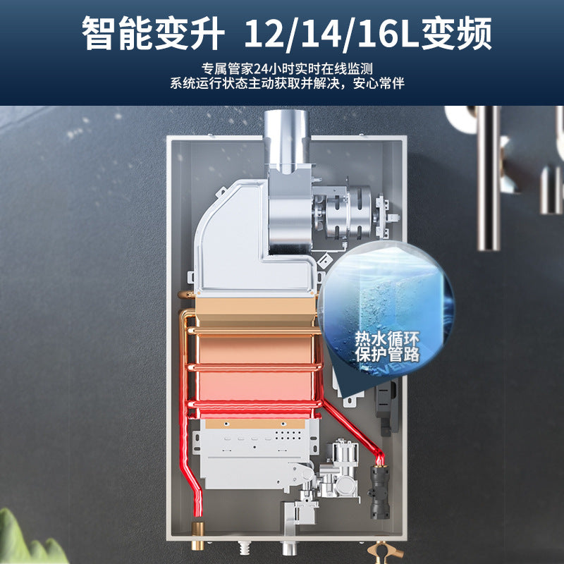 Wholesale xinfei gas water heater electric for home natural gas liquefied gas coal gas constant temperature balanced gas model 16l
