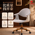 Minimalist computer chair - reception, staff, casual, negotiation, hotel, club, and coffee shop comfort chair