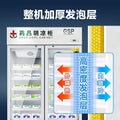 Pharmaceutical refrigerator - large capacity upright medical refrigerator for pharmacies, gsp certified, single or double door display cabinet for freshness preservation