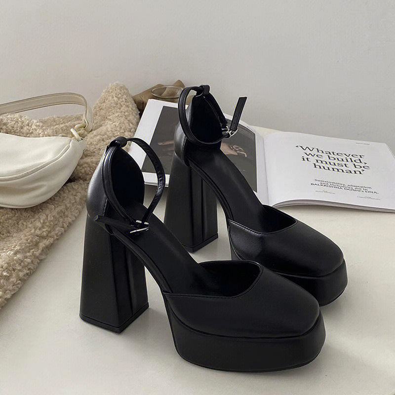 Mary jane chunky heel women's shoes 2025 new fairy style waterproof platform french square toe single strap flats