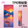 Custom printed tpe yoga mat - digital printing, gift yoga mat, outdoor non-slip beginner fitness mat