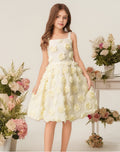 personalized girlnew arrivaldressstereo flowerfashionfashionable princess dress kids girl princess dress