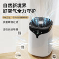formaldehyde removal negative ion purifier deodorization ozone meter office home oxygen bar smoke removal air purifier