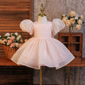 Export dressfashion puff sleeve tutu skirtbows princess skirt girl dress dress first birthday evening dress