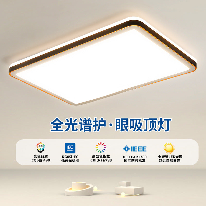 Living room ceiling light modern simple hall light led Nordic home eye care bedroom room Zhongshan lighting