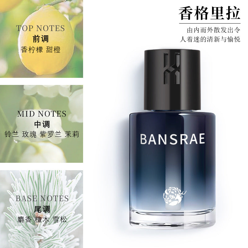 Car air freshener - new premium car perfume for men and women - long-lasting, high-end fragrance, sophisticated, flameless diffuser