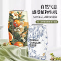 Home aromatherapy air fragrance 400ml indoor air freshener deodorant bedroom living room deodorant home perfume