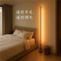 Rechargeable minimalist floor lamp - perfect for living room, bedroom, bedside, or corner. warm light led ambient lighting with remote control dimming
