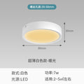 Entryway lights, hallway lights, corridor lighting fixtures - 2026 new small-sized ceiling lights for entryways and foyers
