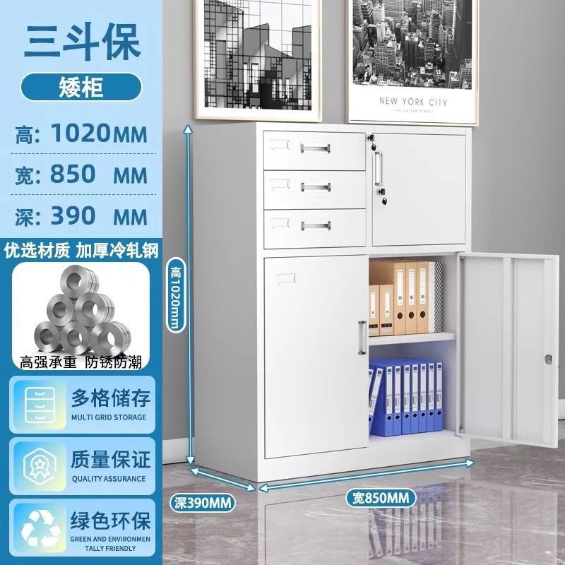 Office metal file cabinet - accounting & finance storage cabinet - voucher cabinet - storage cabinet - document & record cabinet - lockable cabinet