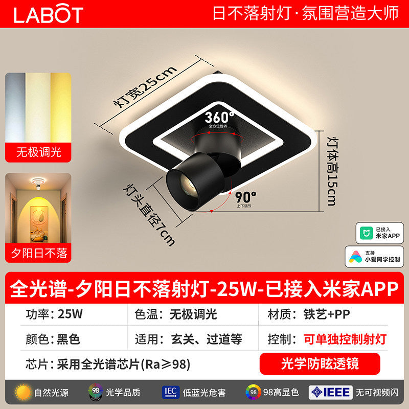 Aisle lights, corridor lights, surface-mounted projection, never-sunset atmosphere lights, entrance hall, high-end balcony led ceiling lights