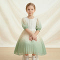fashion style personalized girldress chiffon printinghalf length sleeve pleated skirtnew arrivalkids skirt