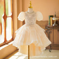 Girls' train dress new arrivallong sleevesspring & fallkids princess dress evening dress birthday style 3-12 years old skirt