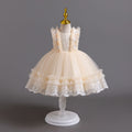 Exportnew arrival children's dress lace tutu princess dress female toddler first birthday dress baby dress