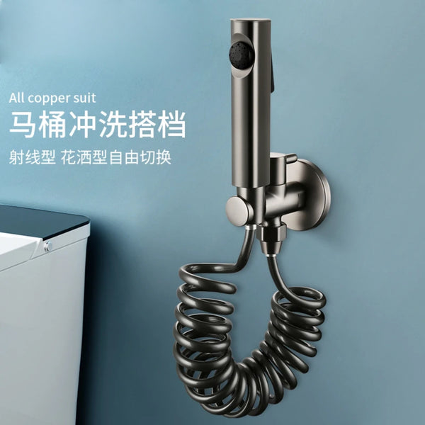 Toilet spray gun set All copper gun ash one in one out single angle valve toilet significant other cleaner set