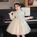 Amazon girls' dresses: european and american style, new autumn/winter  collection, children's princess dresses, perfect for piano recitals