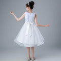Export toddler kids dress sequinlace princess dress baby girl birthday dressbaby dress