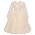 Girls' dresses wedding dresses piano performance flower girl dresses hostess dresses little girls' princess birthday performance outfits new