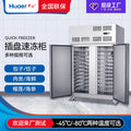 Huaer commercial quick freezer, sea cucumber buns, dumplings, quick freezer, food freezer, minus 45 degrees seafood quick freezer