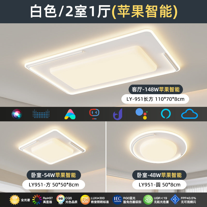 Full Spectrum Nordic Modern Simple Geometric Ceiling Light LED Eye Protection Light Luxury Bedroom Living Room Whole House Lighting Package