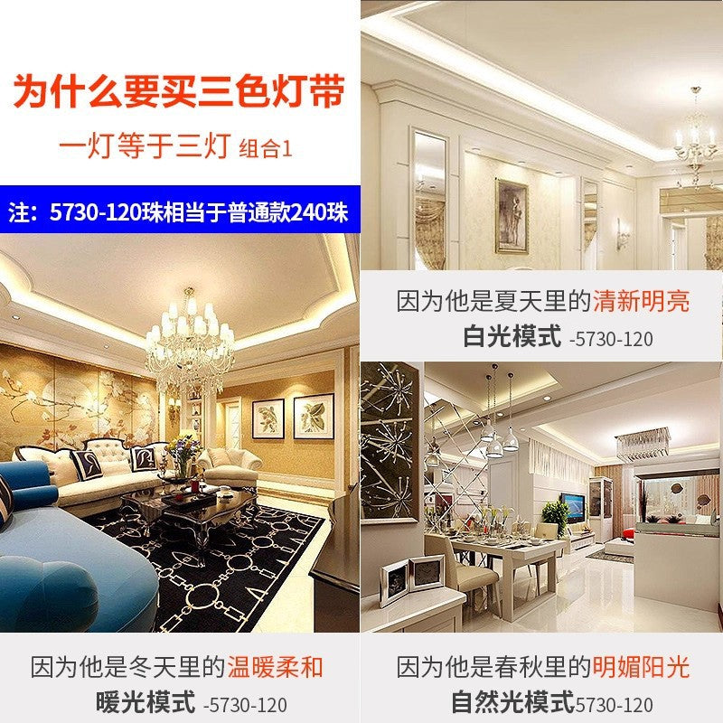 Led strip lights, tri-color dimmable, home use, color changing, living room ceiling, 220v outdoor waterproof rgb flexible strip lights