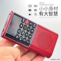 Happy companion l-328 new elderly radio bluetooth speaker portable rechargeable card player