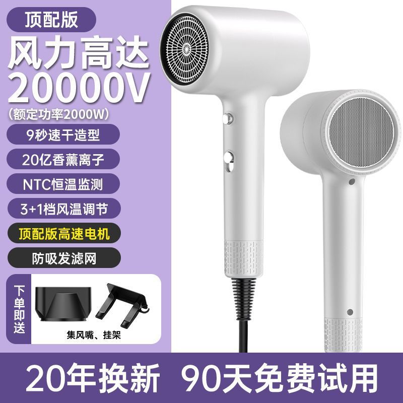 Hair dryer - high power, high velocity, blue light negative ion, hot & cold, salon-grade, quiet, hair care, powerful airflow - for home use