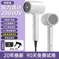 Hair dryer - high power, high velocity, blue light negative ion, hot & cold, salon-grade, quiet, hair care, powerful airflow - for home use