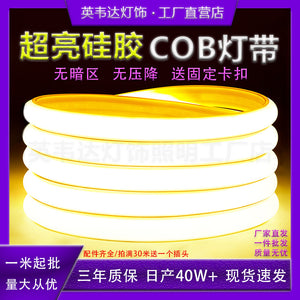 Led strip lights for living room, recessed ceiling, white light, outdoor/indoor waterproof, 220v flexible cob strip, no voltage drop, high voltage strip lights