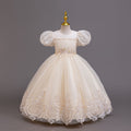 Ready-to-ship children's embroidered sequin puff sleeve princess dress - girls' runway model dress - kids dress