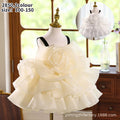 Girls' dresses flower girl wedding little girl first birthday dress sundress cross-border foreign trade princess dress wholesale