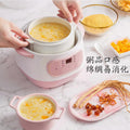 110v-240v cross-border export trade health pot electric stew pot porridge bird's nest soup ceramic waterproof electric stew pot