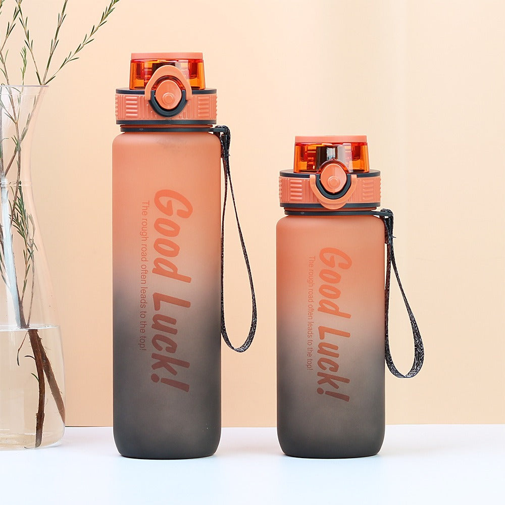 Carefully selected gradient color plastic water cup outdoor fitness with straw plastic cup classy portable large capacity water bottle