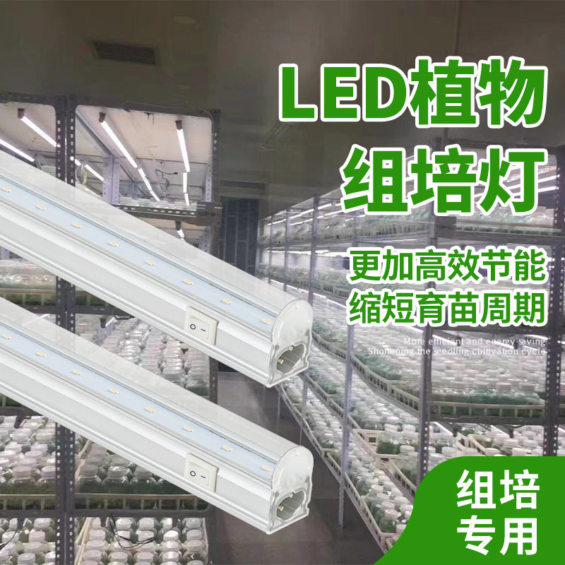 Tissue culture special lamp imitation sun led plant growth lamp full spectrum tissue culture lamp T5T6 with switch lamp