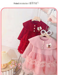 Trendy girls' dress - new spring/autumn collection - kids' baby girl shawl collar tulle princess dress - stylish & chic