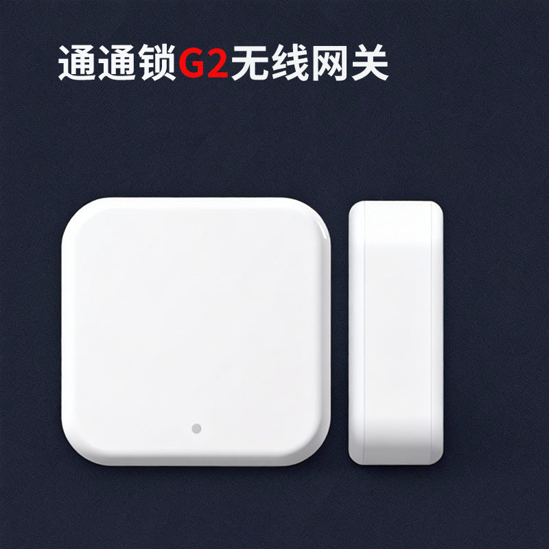 Rental house guesthouse smart lock remote fingerprint password lock hotel hotel lock anti-theft wooden door digital door lock