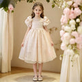 Girls'  summer new arrivals: baby girl mori-style dress, summer puff sleeve bestseller, trendy princess dress for baby girls