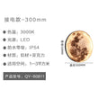 Outdoor waterproof moon wall lamp creative light outdoor villa landscape light new chinoiserie courtyard garden aisle door light